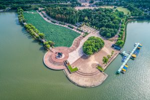 Natural Resources: Understanding What We Get From Nature